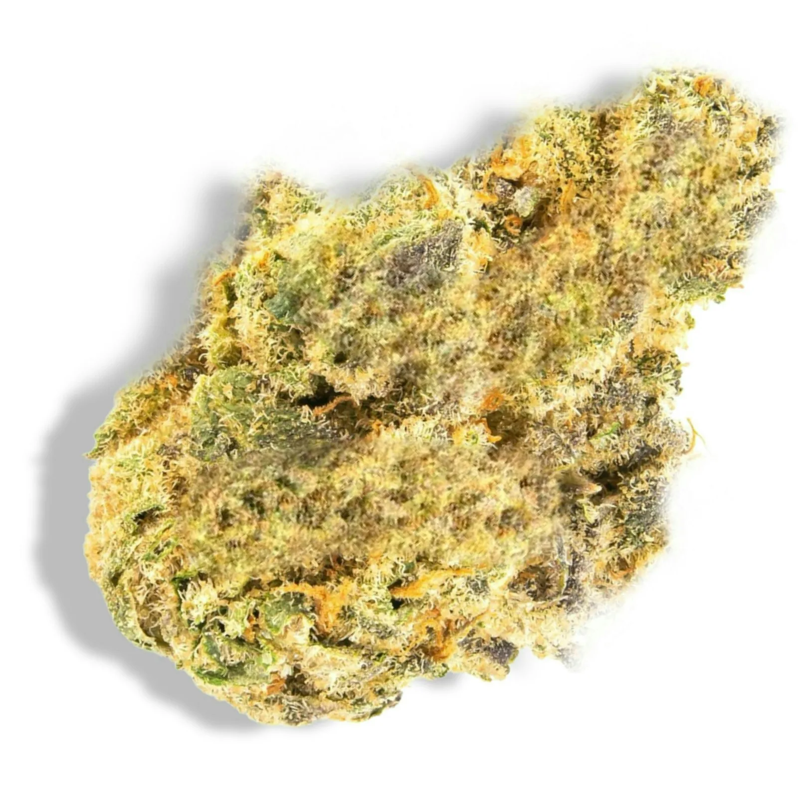 Vortex - Sativa - 30.07% THC