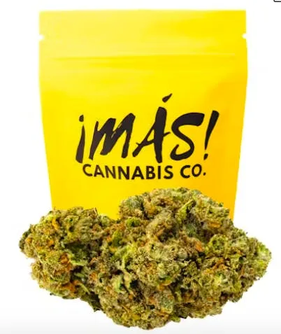 Mas Grandi Guava Mixed Light