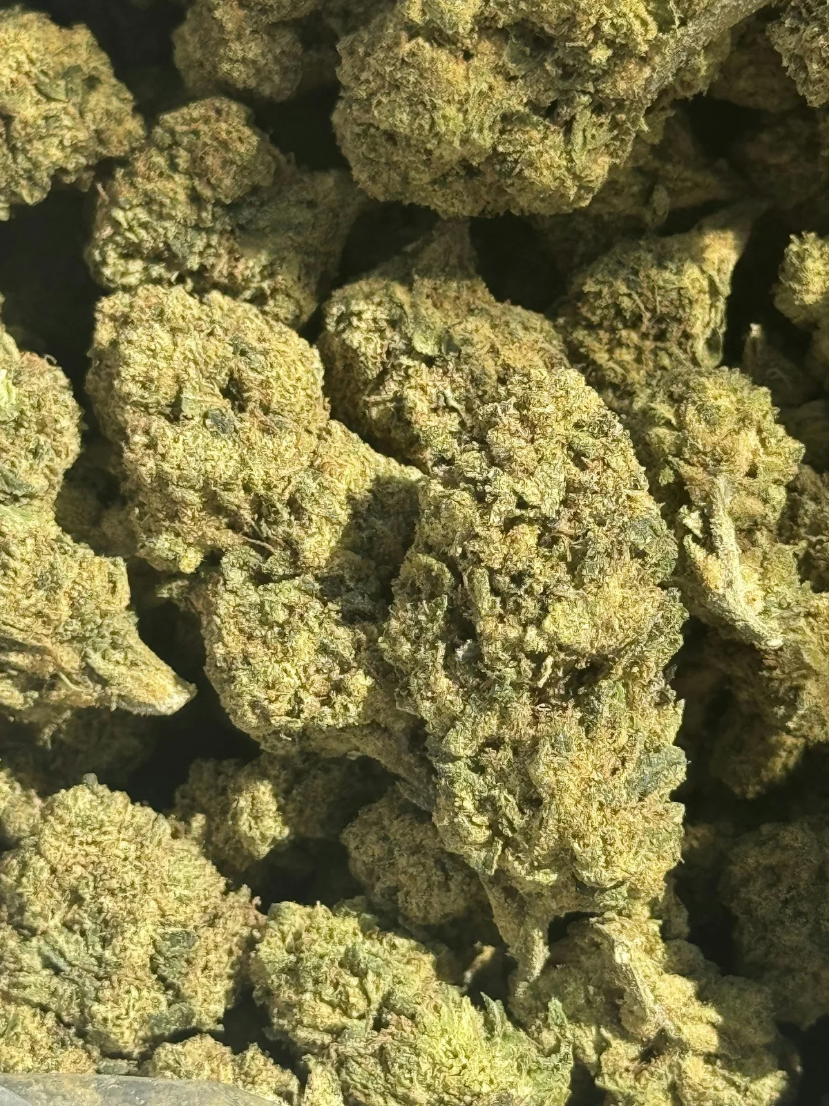 [Gaia's Garden] 14g Premium Greenhouse Flower - Pineapple Runtz