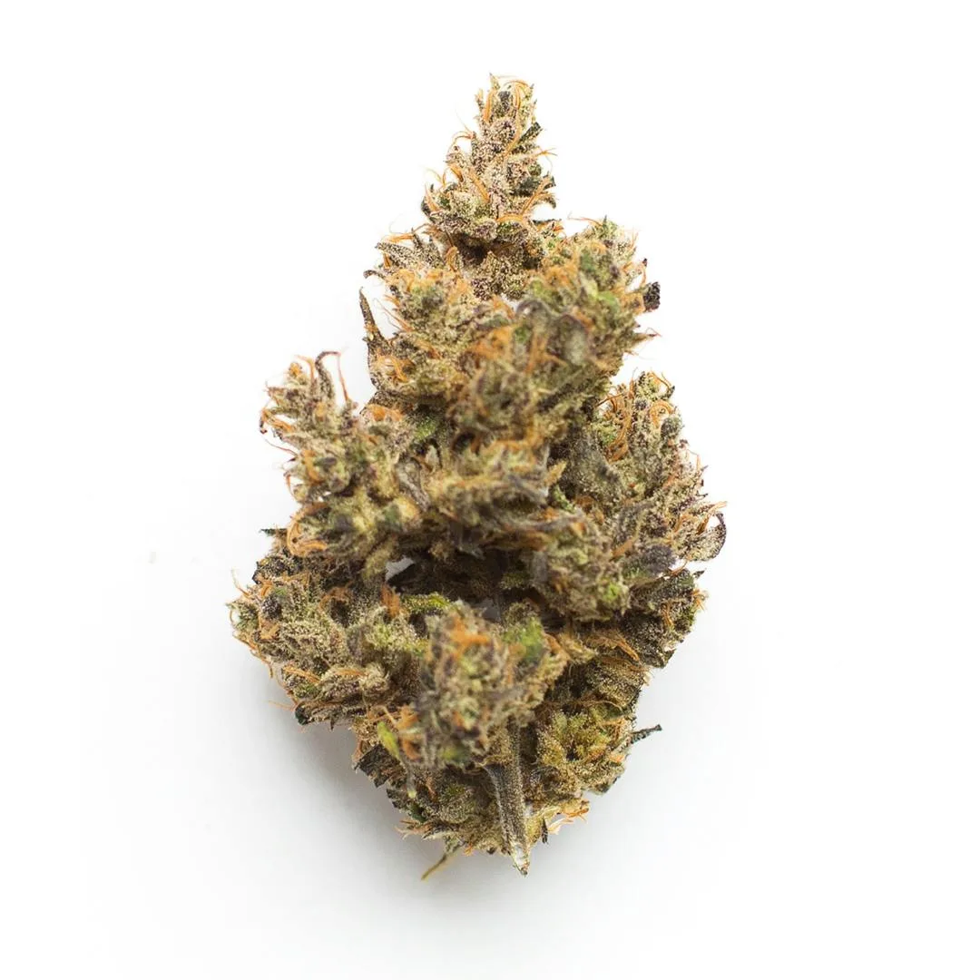 3.5G • Black Cherry Soda | INDICA | SMALLS