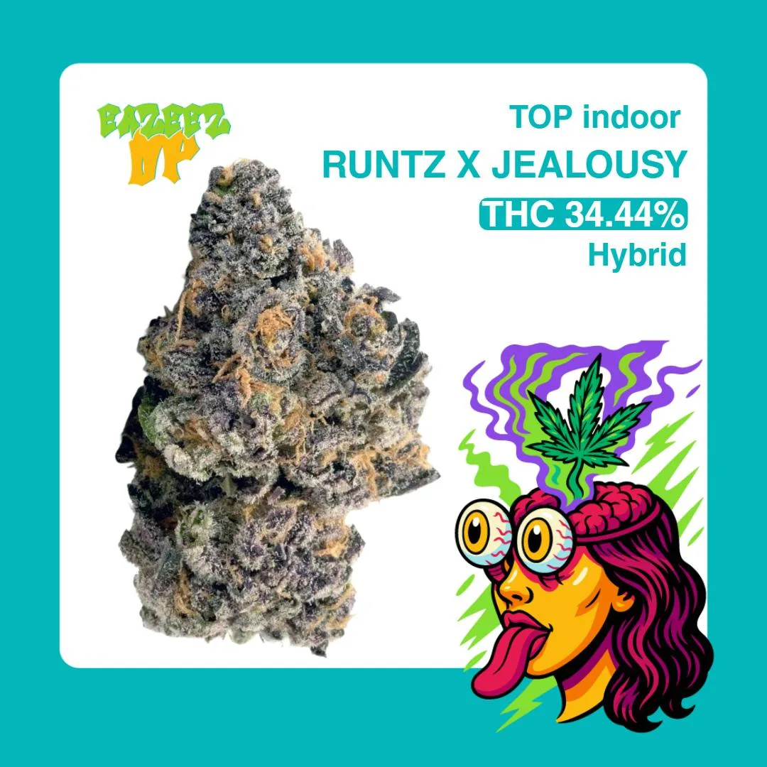 Runtz x Jealousy - Top Indoor - New Drop- (3.5g-1/8oz) - Hybrid