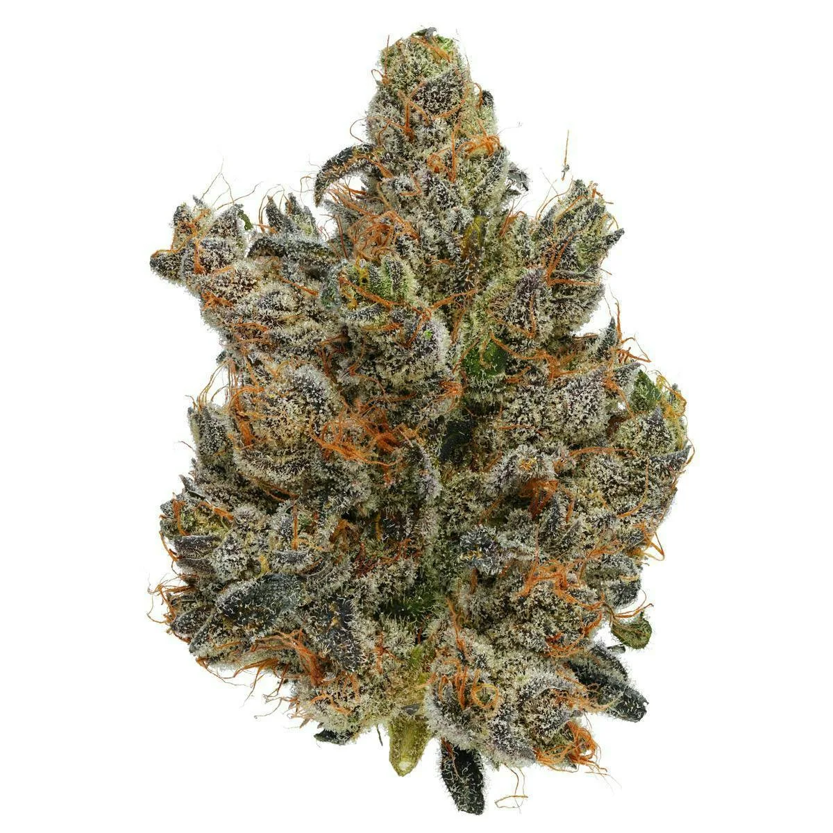 Fig Farms | Dark Karma | Big Buds