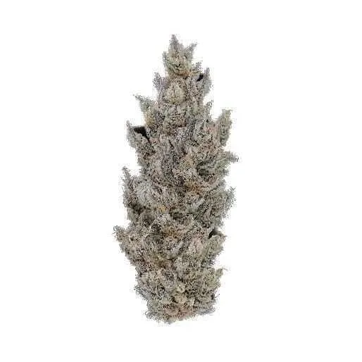 Holy Moly! 3.5g