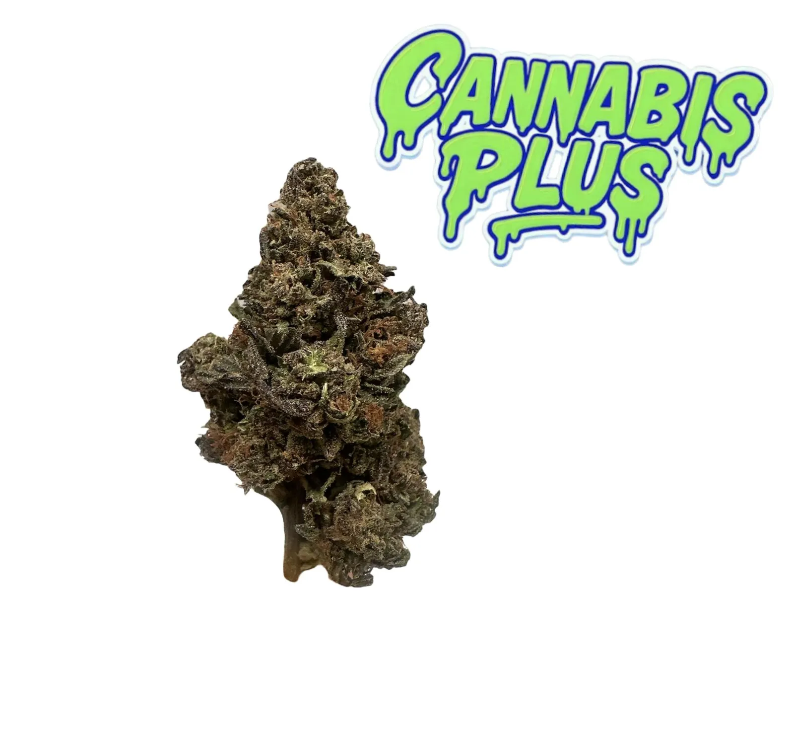 Mid Flower | Purple Swish | Class B | Indica