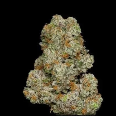 COOKIE OG - I-Hybrid - 31.46% THC - 28g