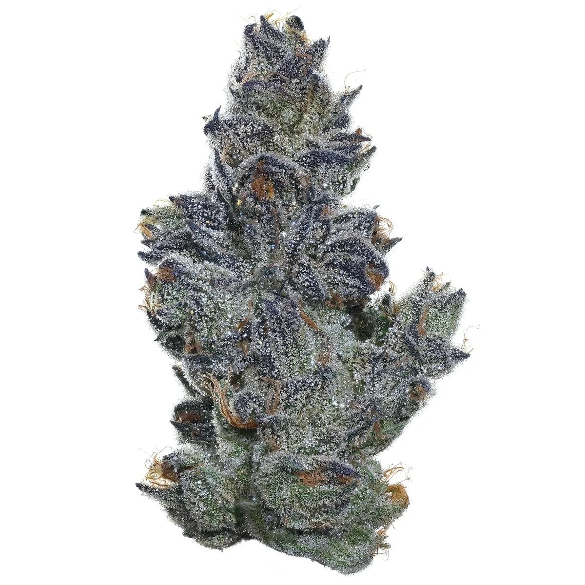 Sour Cherry Pie
