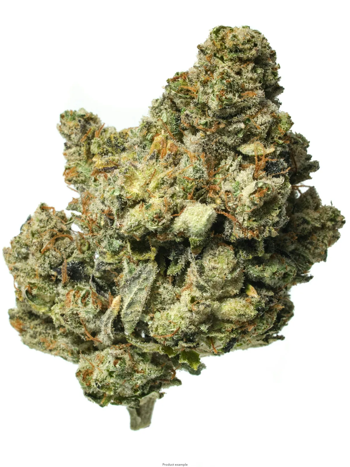 LEMON CHERRY GELATO 14G (TOPSHELF INDOOR)