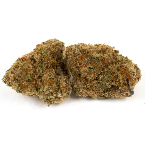 7G • Stone Road | Iced Lemonade | SATIVA