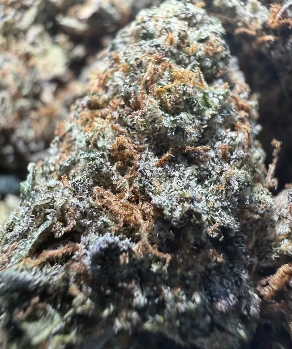 Deadstar OG $79/$129 indoor