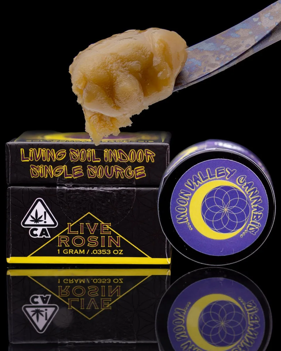 Black Runtz x Z Solventless Cold Cure Live Rosin 1 G Jar