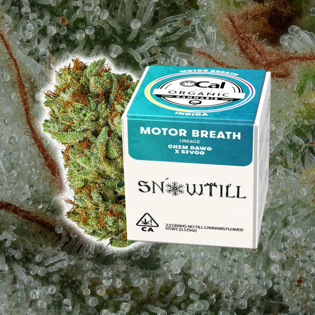Motor Breath OG (I)