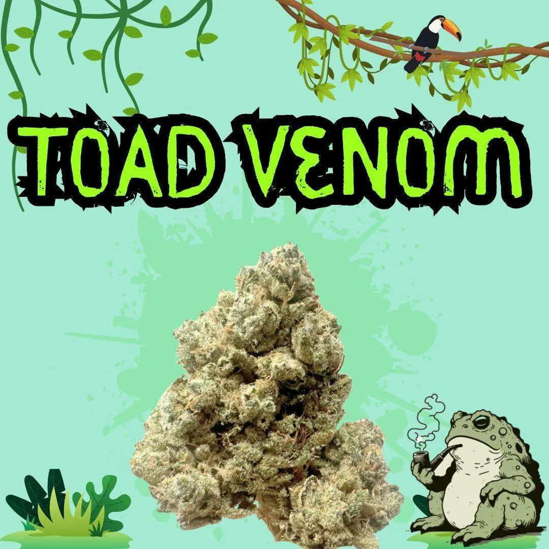 Toad Venom | Top Shelf | Limited Drop! | 3.5g | Eighth