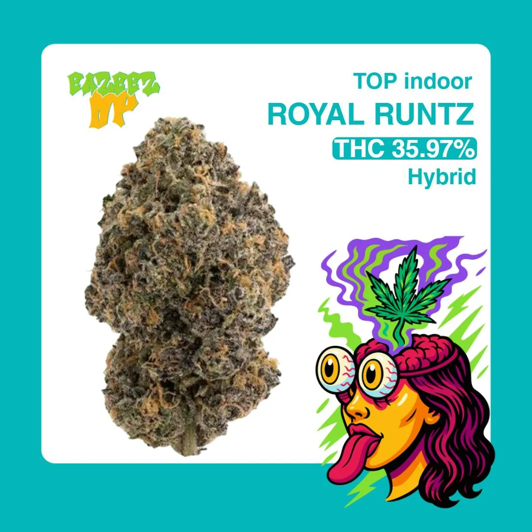 Royal Runtz - TOP Topshelf - (3.5g-1/8oz) - Hybrid