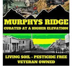 MURPHYS RIDGE TIMBERS - GRANDADDY STARK 5PK PR - 3.5G