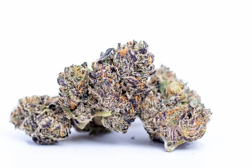 White Runtz 14G (TOPSHELF INDOOR)