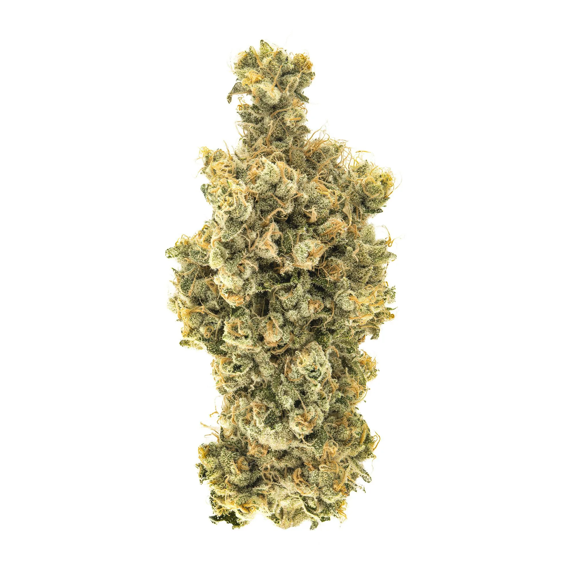 Caramel Apple Romulan