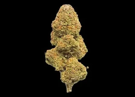 MARS OG (INDICA) 20.98% THC TIER 4