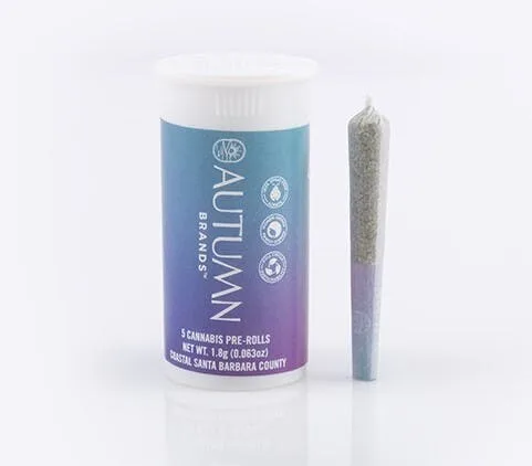 Mini Preroll 5pk Hybrid Cooked