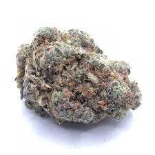 LA pop rocks