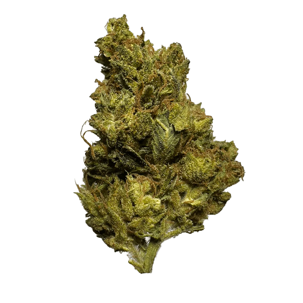 Chyll Flower – Jack Herer 2 Ounce *Midshelf*