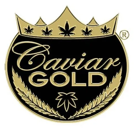 Caviar Gold | BLUE DREAM | 1.5g Infused Preroll
