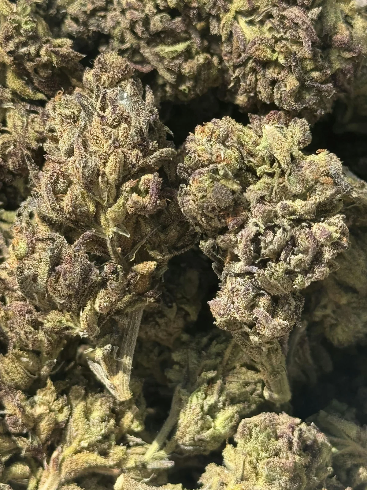 [Gaia's Garden] 14g Premium Greenhouse Flower - Super Lemon Cherry Gelato