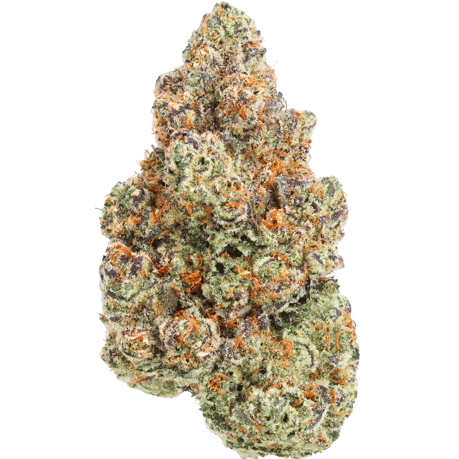 WO - MASTER KUSH - 2 GRAMS