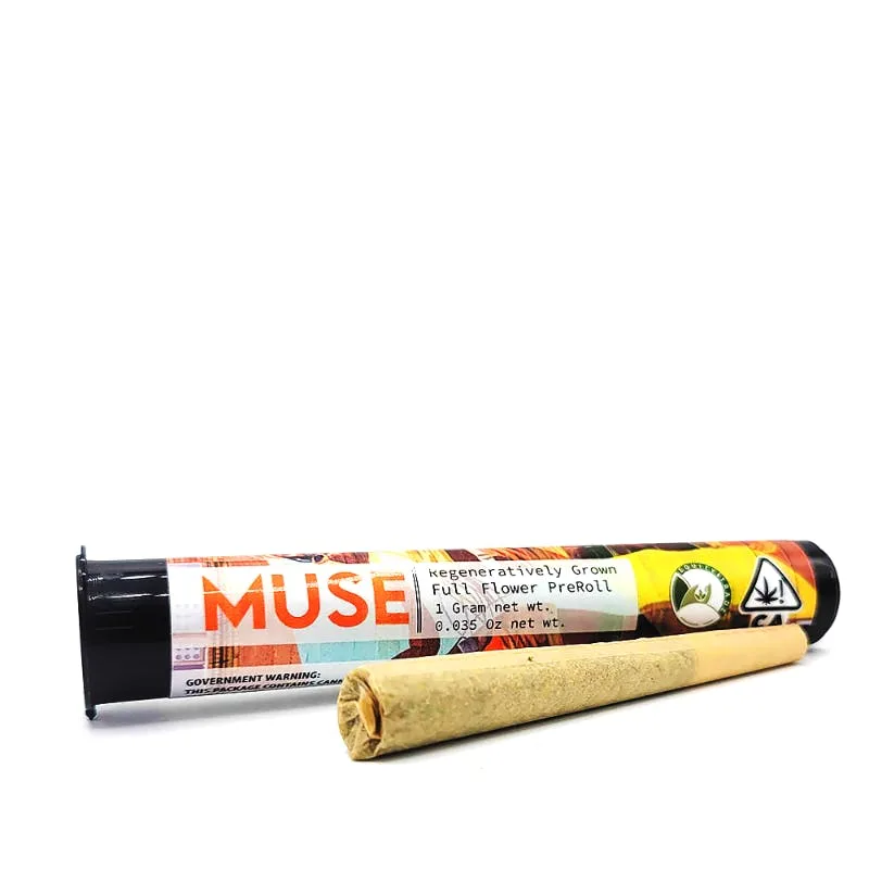 S12: Island Creamsicle Preroll (1g)