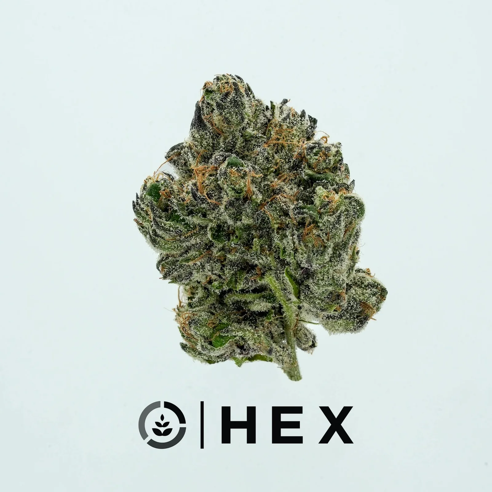 HEX | Tropical Runtz | 3.5G