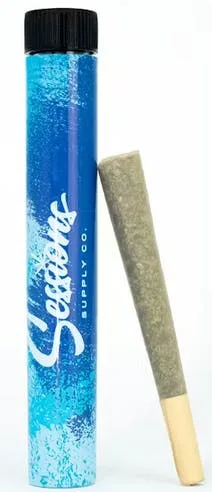 HAWAIIAN MANGO - 1G - SESSIONS