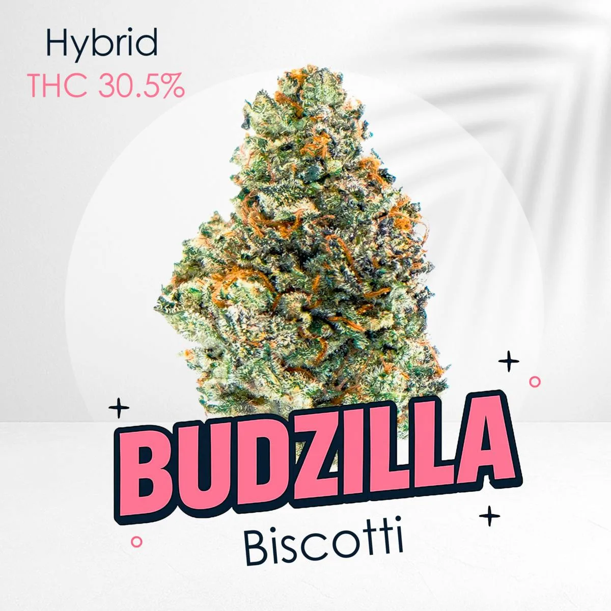 Biscotti -Top shelf