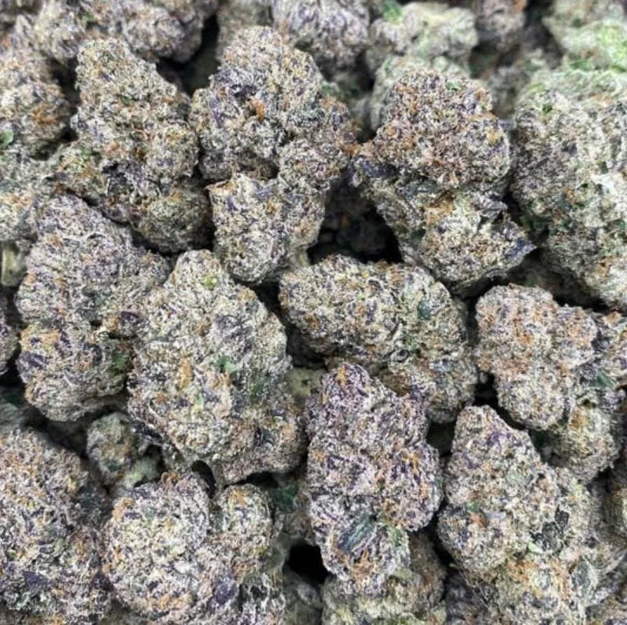 JET FUEL GELATO | SPECIAL 14G Exotic Indoor Flower | Hybrid🔥