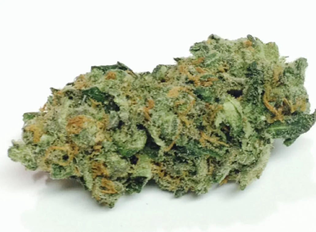 Lemon Jack - Sativa - 30.97% THC