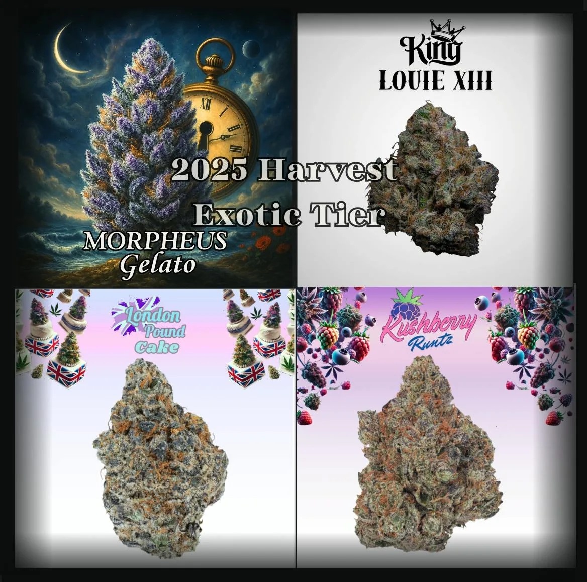 14G (1/2 Oz) - 2025 Harvest EXOTIC/PR Tier [ Random/Assorted] - Excl.