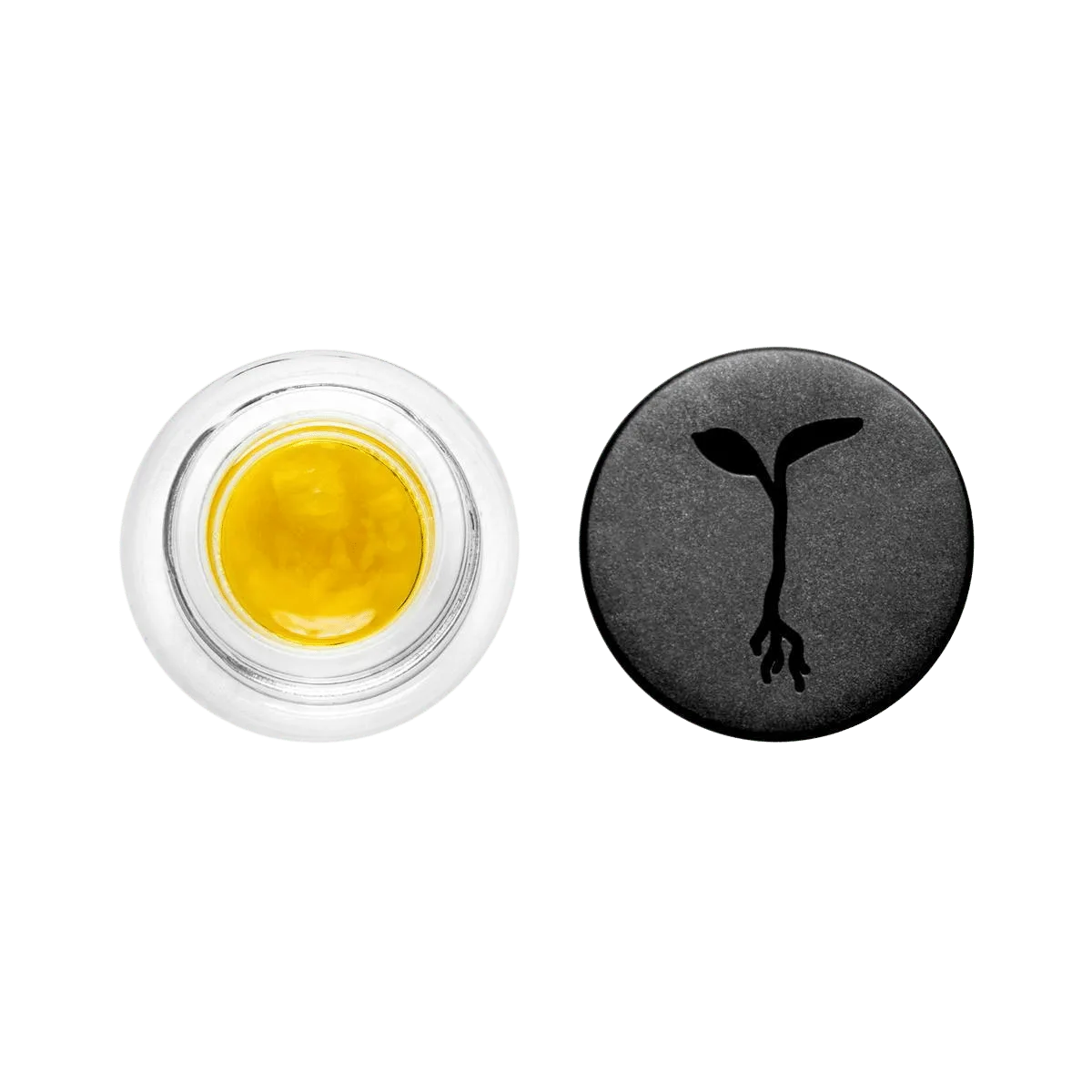 LIVE SAUCE - ZE CHEM - SATIVA, THC 66.40%, 1G