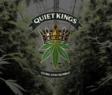 QUIET KINGS - GMO (1G) COLD CURE ROSIN [I]