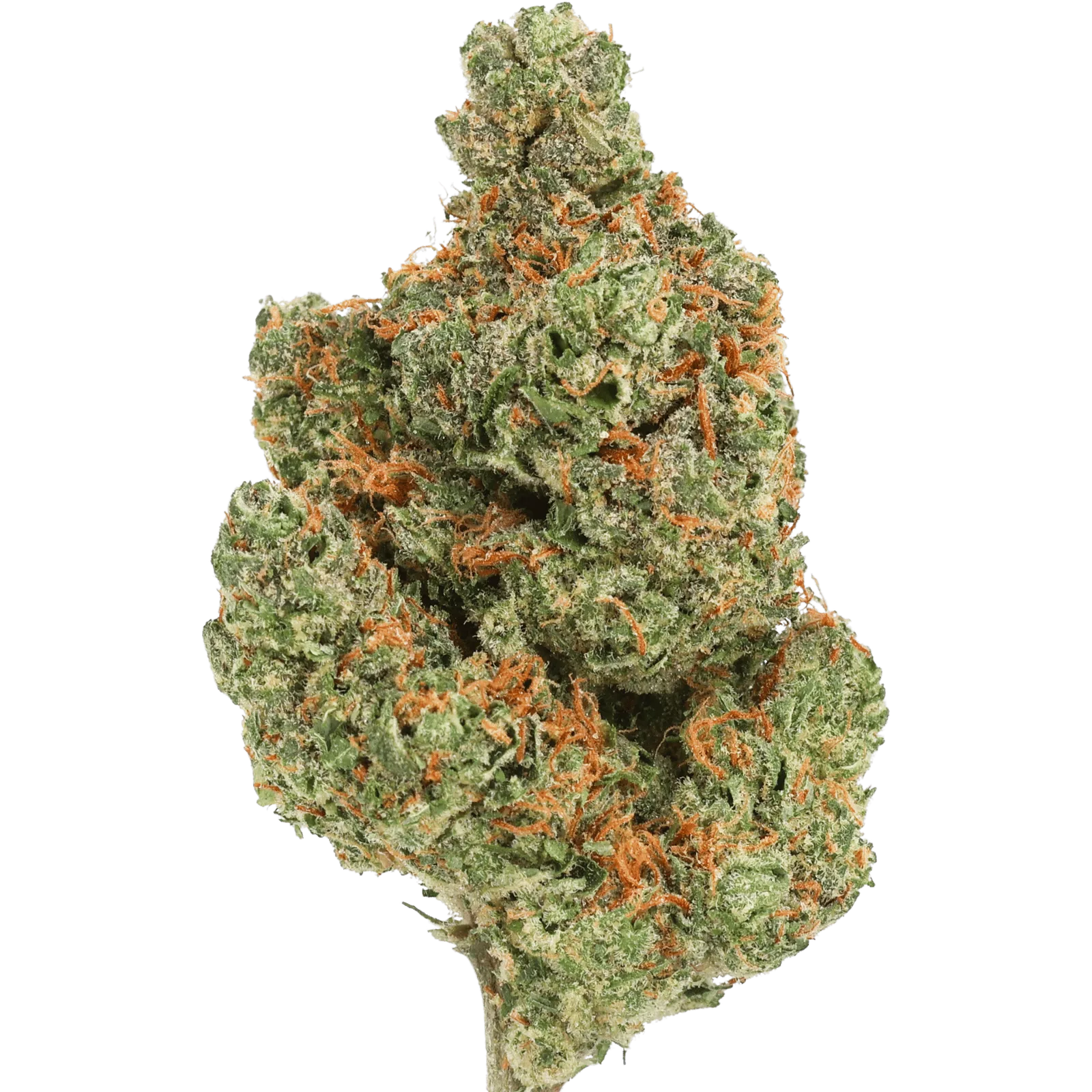 GH - BOSS OG - 2 GRAMS