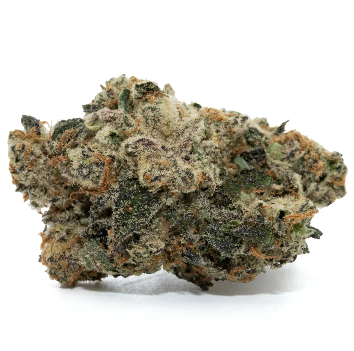 GORILLA GLUE [3.5G]