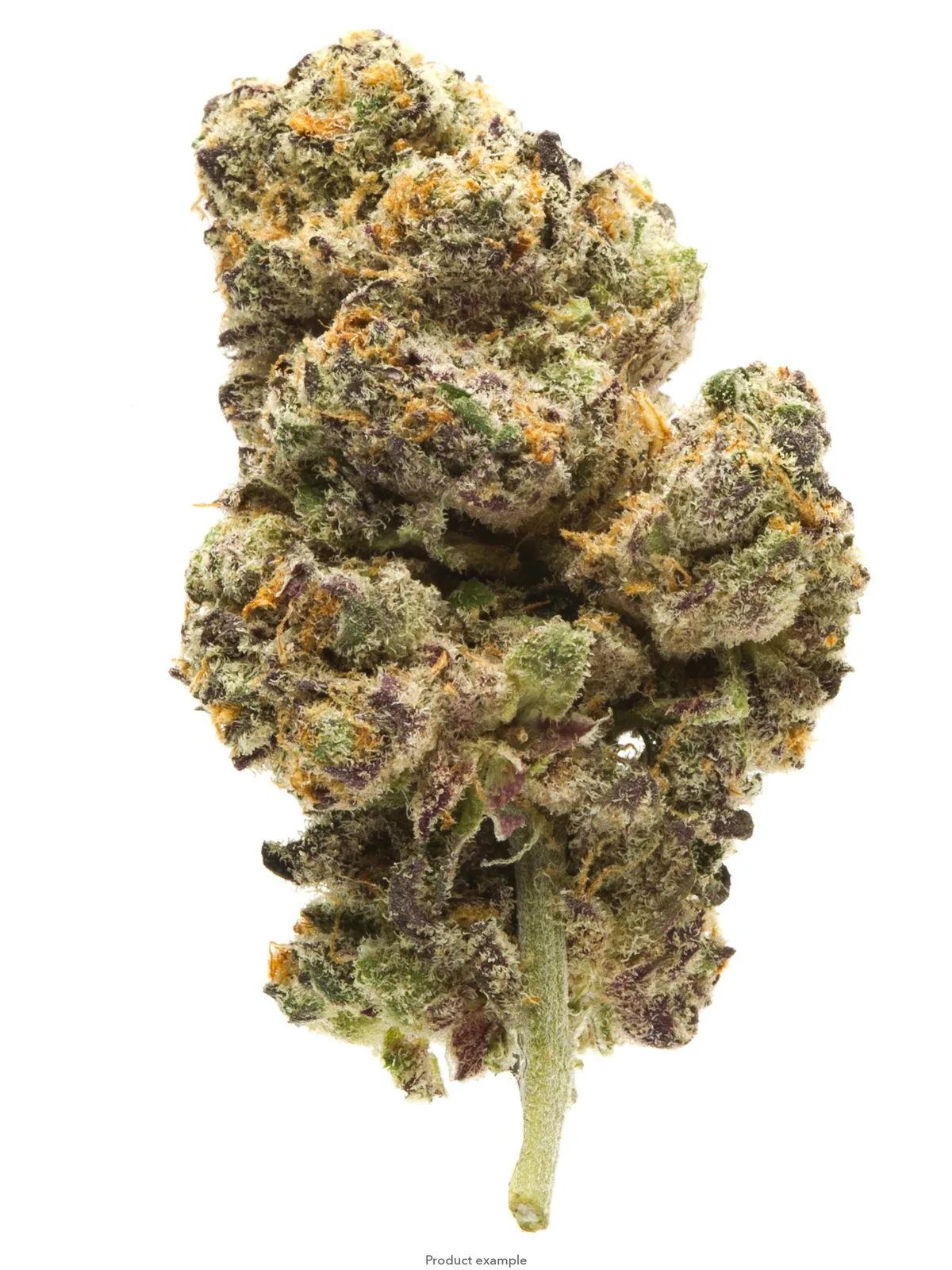 Top Tier - 10GS Super Sour Widow Indoor (33%)