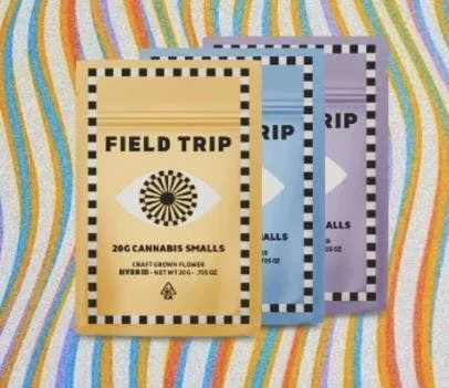 Field Trip Smalls 20g Triple Scoop
