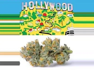 Cookies - 7G Flower - Hollywood