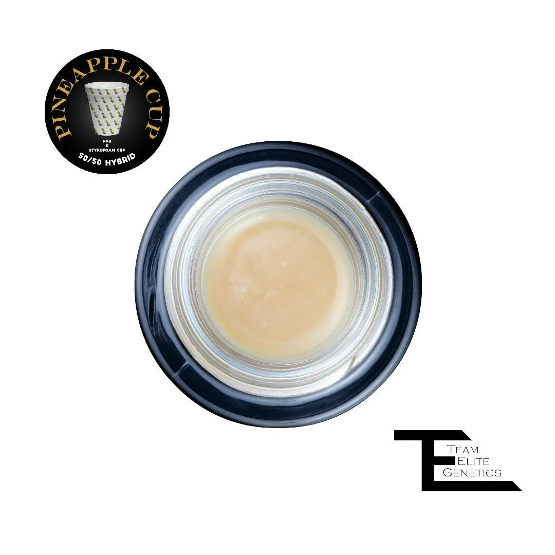 Pineapple Cup Cold Cure Live Rosin Badder