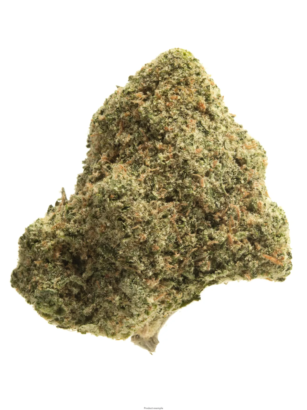 OUNCE SPECIAL - ARABIAN GOLD