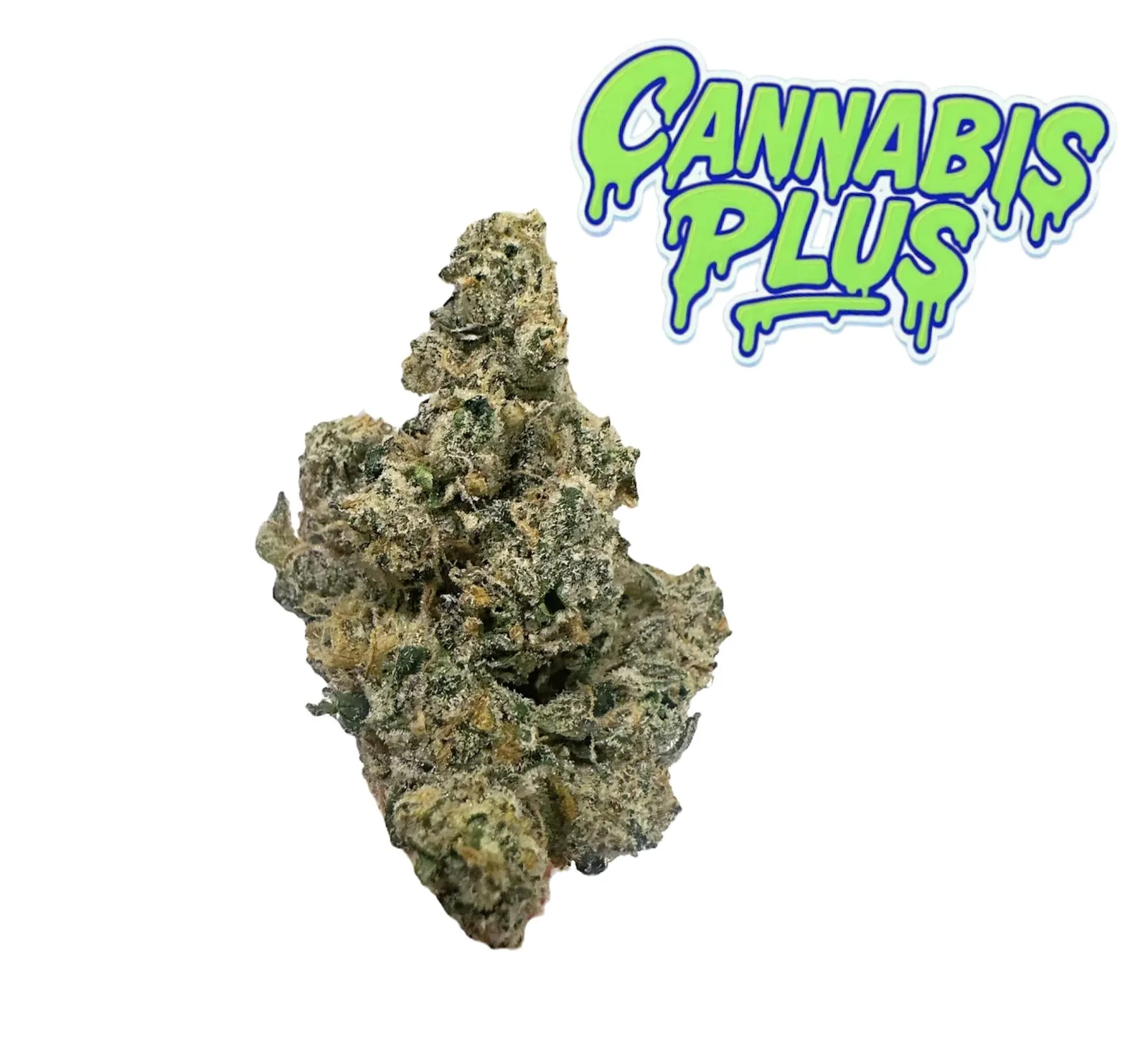 Tier 1 | Silverfuck| Sativa