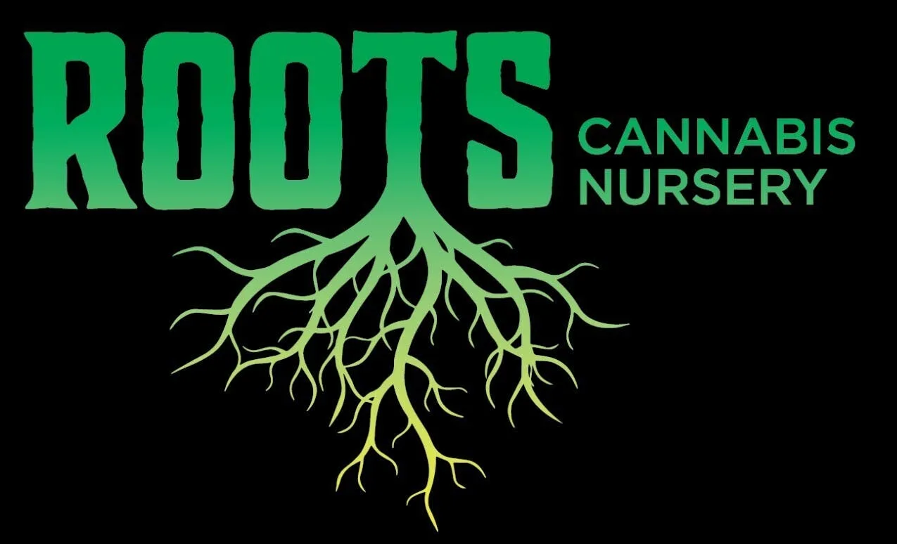Sour Pelli Popz CLONE IN ROOT CUBE - Each