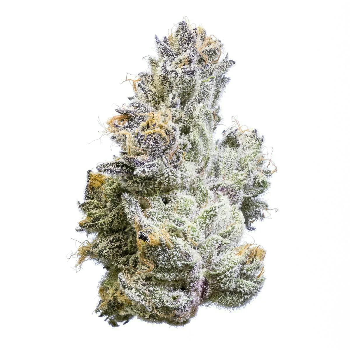 Fig Farms | Poppin Bottlez | Big Buds