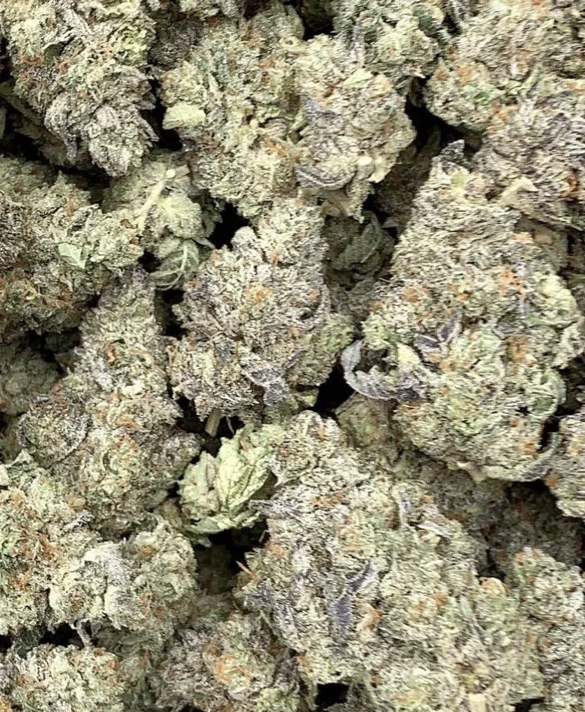 White Cherry Gelato- Hybrid - 31% THC