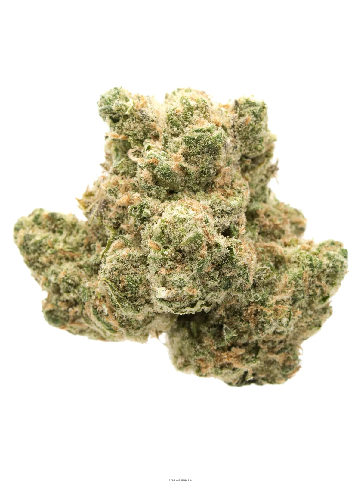 Lemon Cherry Gelato- indoor-14G