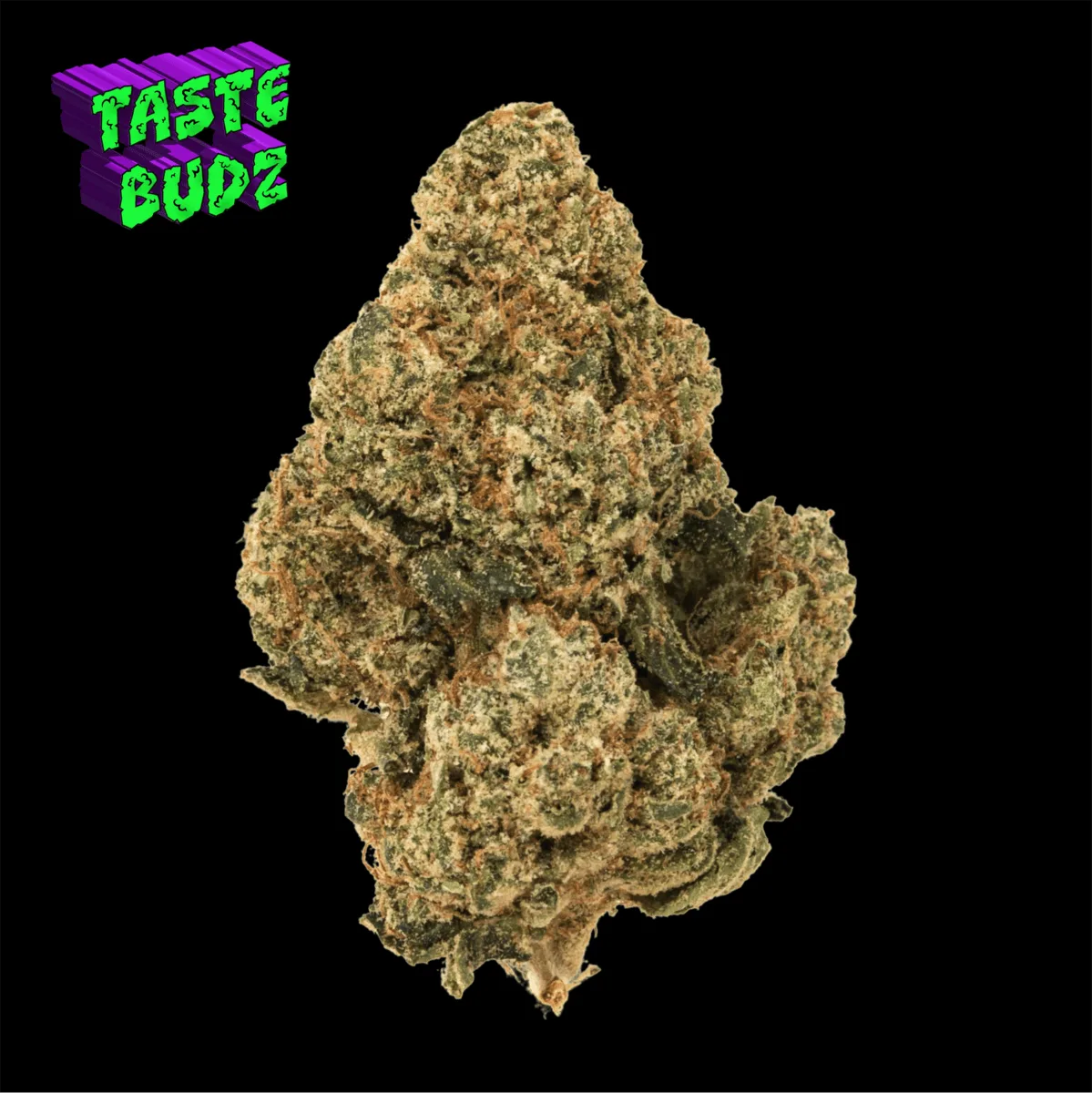 ICE CREAM COOKIES | Top Shelf Indoor | Hybrid | 32.6% THC - 28g Special | TASTE BUDZ