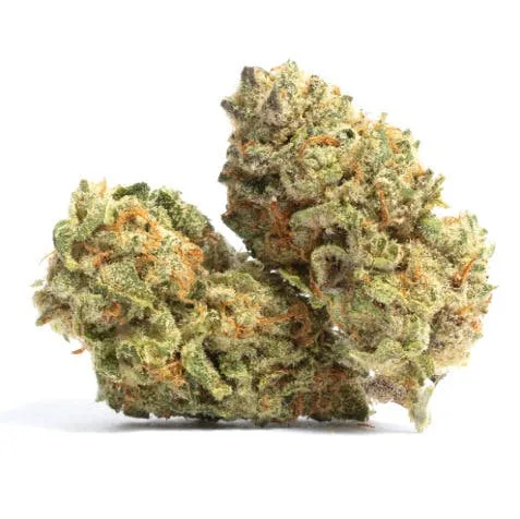Clout King - Melona (7G)